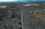 Vue aérienne d'une zone brûlée par un incendie de forêt près de la commune de Montalba-le-Château, non loin de Perpignan, le 7 juillet 2026 dans les Pyrénées-Orientales