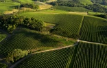 Le vignoble de la Familia Geisse à Pinto Bandeira, dans le sud du Brésil, le 3 décembre 2019