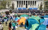 Des manifestants pro palestiniens et des tentes sur le campus de l'université Columbia, le 22 avril 2024