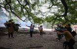 Des touristes photographient Chen Weizuo (g) et son buffle à Xiapu, dans la province du Fujian, le 11 décembre 2024 dans l'est de la Chine