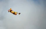 Un Canadair au Luc, dans le Var, le 19 août 2021 