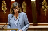 La députée du groupe Horizons, Agnès Firmin-Le Bodo, s'exprime à l'Assemblée nationale, à Paris, le 12 mai 2025