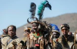 Des guerriers zoulous célèbrent le couronnement du nouveau roi  Misuzulu Zulu, le 20 août 2022 à Nongoma, à 300 km north of Durban, en Afrique du Sud