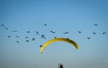 Des ibis chauves sont guidés pour leur migration depuis un ULM, dans la région de Besançon, dans l'est de la France, le 1er septembre 2026