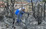 Une femme portant un jerrycan marche entre des arbres calcinés par un incendie, près de Melloula, dans le nord-ouest de la Tunisie, le 26 juillet 2023