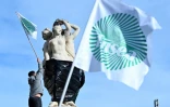 Des drapeaux de la FNSEA, principal syndicat agricile français, à Montpellier, le 18 novembre 2024