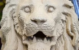 Une tête de lion en Lego, reproduisant une statue d'un des ponts les plus anciens de Budapest, réalisée par l'artiste hongrois Balazs Doczy, le 28 octobre 2024 en Hongrie