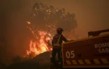 Un incendie de forêt près du village de Benvende, à Trancoso, au Portugal, le 14 août 2025