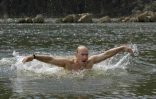 Vladimir Poutine, alors Premier ministre de la Russie, en pleine séance de natation lors de vacances très médiatisées à Kyzyl, dans le sud de la Sibérie, le 5 août 2009