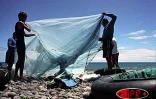 Décembre 2003

Image de pêche des bichiques