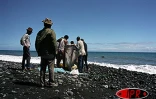 Décembre 2003

Image de pêche des bichiques