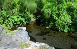 Le site de l'Étang Saint-Paul. Verdoyant, calme et exceptionnel par la diversité de sa flore et de sa faune
