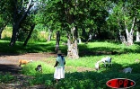 Le site de l'Étang Saint-Paul. Verdoyant, calme et exceptionnel par la diversité de sa flore et de sa faune