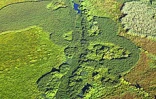 Le site de l'Étang Saint-Paul. Verdoyant, calme et exceptionnel par la diversité de sa flore et de sa faune