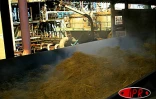 Mardi 15 juillet 2003, usine de Bois Rouge - Un tapis roulant dirige les cannes ers les broyeurs