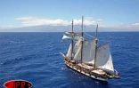 Vendredi 1er décembre 2006 - 

La goélette &quot;la Boudeuse&quot; a accosté à La Réunion avec à son bord 25 aventuriers qui font le tour du monde