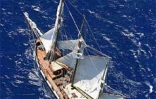 Vendredi 1er décembre 2006 - 

La goélette &quot;la Boudeuse&quot; a accosté à La Réunion avec à son bord 25 aventuriers qui font le tour du monde