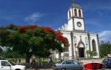 Arbre symbole de La RĂ©union, le flamboyant se pare de fleurs rouge vif pour les fĂȘtes de fin d'annĂ©e