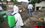 Vendredi 17 février 2006 -

Le Port a choisi la carte de la lutte biologique contre les larves de moustiques
