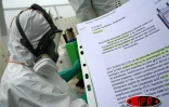 Vendredi 17 février 2006 -

Le Port a choisi la carte de la lutte biologique contre les larves de moustiques