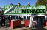 Manifestation au Mans le 18 septembre 2025 dans le cadre d'un mouvement national pour protester contre la décision du gouvernement, depuis suspendue, de réduire le plafond des remises sur les génériques