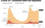 Graphique montrant l'évolution des hospitalisations et des réanimations en France, au 11 février