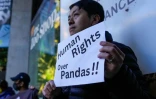 Un manifestant tient une affiche "Les droits de l'homme avant les pandas" avant l'arrivée du premier ministre chinois Li Qiang au zoo d'Adélaïde, le 16 juin 2024 en Australie