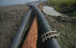 Vue en date du 28 mars 2016 de la zone dévastée en 2006 par un torrent de boue à Sidoarjo sur l'île de Java en Indonésie