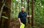 Stephen Elliott, directeur d'une unité de recherche sur la restauration des forêts, dans une zone reboisée à Chiang Mai, le 22 novembre 2023 en Thaïlande