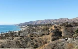 Un quartier presque entièrement détruit par l'incendie de Palisades, le 21 janvier 2025 à Pacific Palisades, à Los Angeles, en Californie