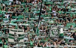 Les supporters stéphanois encouragent leur équipe lors de son match de Ligue 1 à domicile face à Nice, le 25 septembre 2021 au Stade Geoffroy-Guichard </p>
