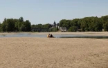 Le lit partiellement asséché de la Loire, à Orléans dans le Loiret, le 22 juillet 2026