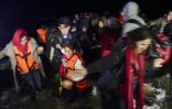 Des réfugiés arrivent le 20 novembre 2015 sur l'île grecque de Lesbos depuis la Turquie