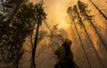 Un pompier lutte contre l'incendie Oak Fire, dans le comté de Mariposa en Californie, le 23 juillet 2022 