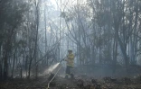 Un pompier lutte contre un incendie qui menace une banlieue de Sydney, le 12 novembre 2019