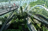 Garden by the Bay Ă Singapour, dans le Cloud Forest, le 26 juillet 2021
