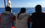 Des migrants secourus en mer regardent les côtes siciliennes depuis le navire humanitaire Ocean Viking, le 5 juillet 2020 en Méditerranée