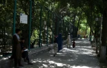 Des visiteurs se promènent à l'ombre des arbres dans les allées du zoo de Kaboul, le 12 juillet 2016 en Afghanistan