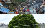 Montage photos du 24 octobre 2023 montrant (en haut) un navire échoué dans une rue de Tacloban, après le passage du typhon Haiyan en octobre 2013 et la même rue (en bas), dix ans après, le 9 octobre 2023 aux Philippines  