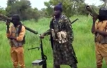 Capture d'écran d'une vidéo de Boko Haram obtenue le 8 août 2016 par l'AFP, représentant le chef jihadiste Abubakar Shekau