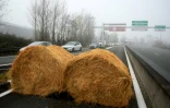 Des bottes de foin bloquent l'accès vers un centre commercial en signe de protestation, notamment contre la stratégie gouvernementale d'abattage total des troupeaux touchés par la dermatose nodulaire contagieuse (DNC), le 14 décembre 2025 à Bordeaux