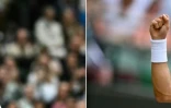 Photomontage du Serbe Novak Djokovic (g) et l'Italien Lorenzo Musetti, opposés en demi-finales de Wimbledon, le 12 juillet 2024