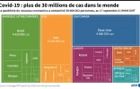Covid-19 : plus de 30 millions de cas