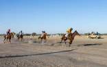 Des jockeys participent à la première course de chevaux de la saison à l'hippodrome de Biligoni, le 30 novembre 2024 au Tchad