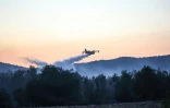 Un avion projette de l'eau sur un incendie de forêt qui fait rage à Megara, à l'ouest d'Athènes, le 20 juillet 2022