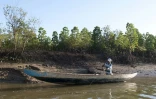 Clément Joseph Rabenandrasana pêche des crabes dans la mangrove