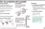 Les symptômes avérés et les liens supposés du virus zika avec certaines maladies graves