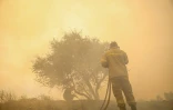 Des pompiers tentent d’éteindre un incendie de forêt à l’intérieur du jardin d’une maison dans le village de Loumpa, à l’ouest d’Athènes, dans la région de Viotia, le 2 août 2026