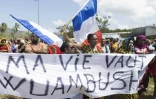 Des habitants manifestent en faveur de l'opération Wuambush, le 27 avril 2023 à Chirongui, sur l'île de Mayotte