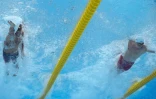le Brésilien Bruno Fratus (à gauche) et le Français Maxime Grousset durant le barrage qualificatif pour la finale mondiale du 50m nage libre le 23 juin 2022 à Budapest